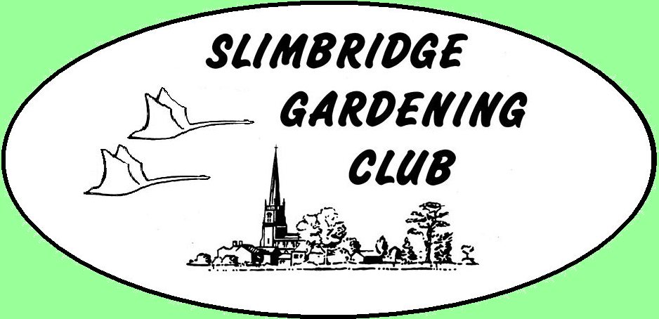 Slimbridge Gardening Club